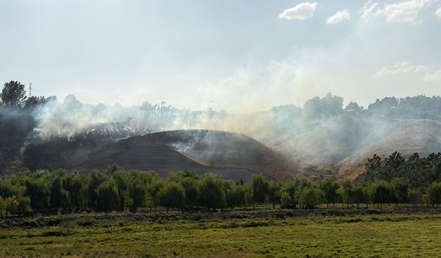 Ahlat’ta Çarho etkinlik alanı yanında çıkan yangın söndürüldü