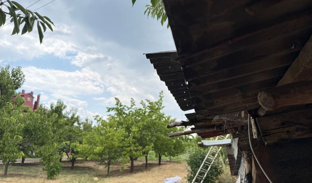Ahlat’ta Ağustos ortasında yağmur sürprizi