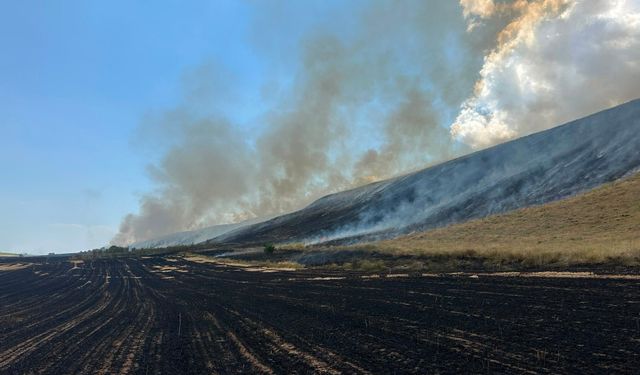 Ahlat’ta örtü yangını: Yaklaşık 400 dönüm alan küle döndü