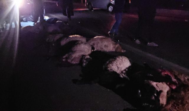 Adilcevaz’da trafik kazası: Çok sayıda koyun telef oldu