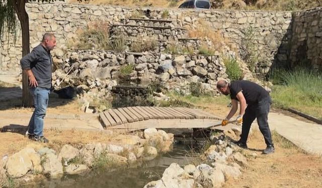 Bitlis Belediyesi’nden altunkalbur mesire Alanı’nda temizlik çalışması