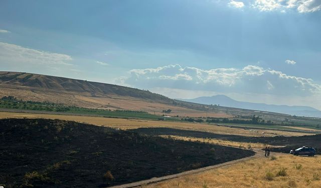 Ahlat-Tatvan yolunda alevler yükseldi! 300 dönümlük alan zarar gördü