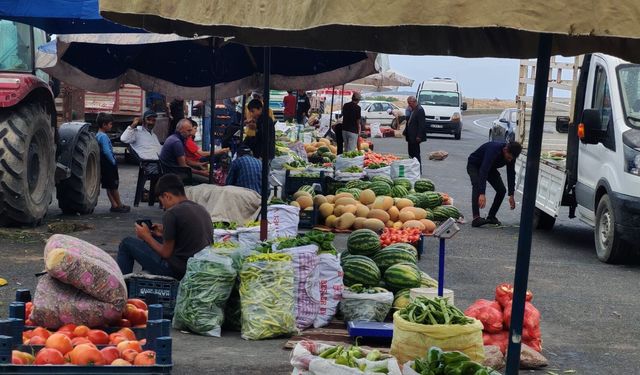 Ahlat-Tatvan yolunda tarladan sofraya taze sebze satışı