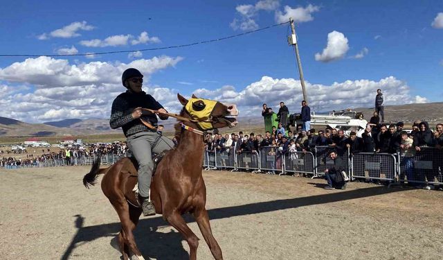 Bingöl'de geleneksel at yarışları renkli görüntüler oluşturdu