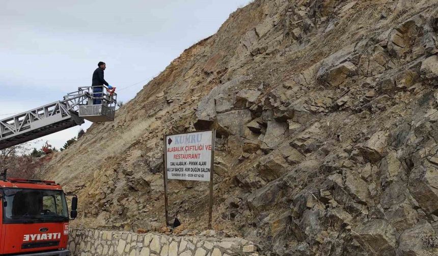 İtfaiye ekipleri kayalıklarda mahsur kalan köpek için seferber oldu