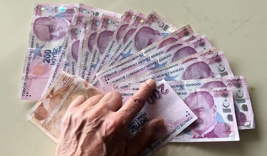 Bakanlık duyurdu: Bu başvuruyu yapan 10 bin liradan fazla ödeme alacak