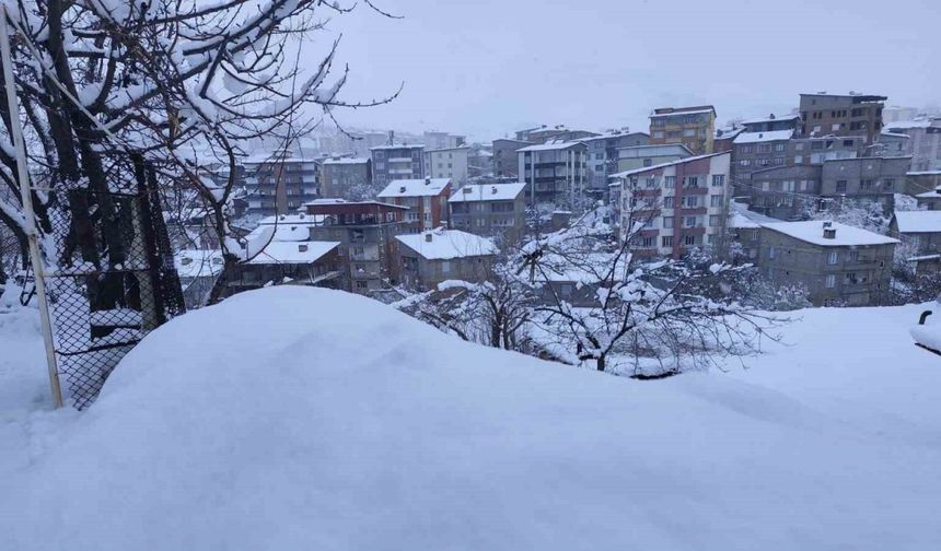 Hakkari’de 190 yerleşim yolu kapandı