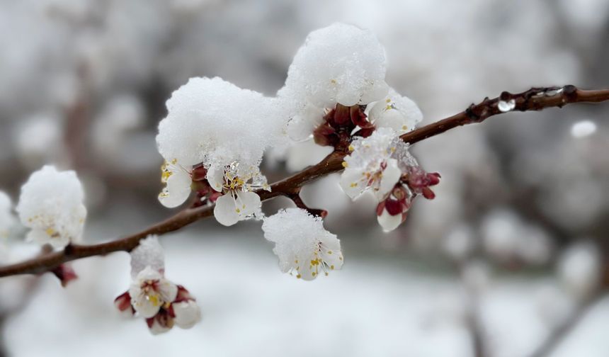 Saklayın bu kareleri: Bu fotoğraflar bir daha çekilemeyebilir!