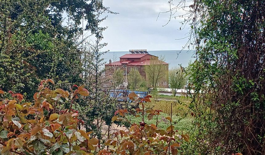 Baharın kalbi Ahlat sahilinde atıyor!