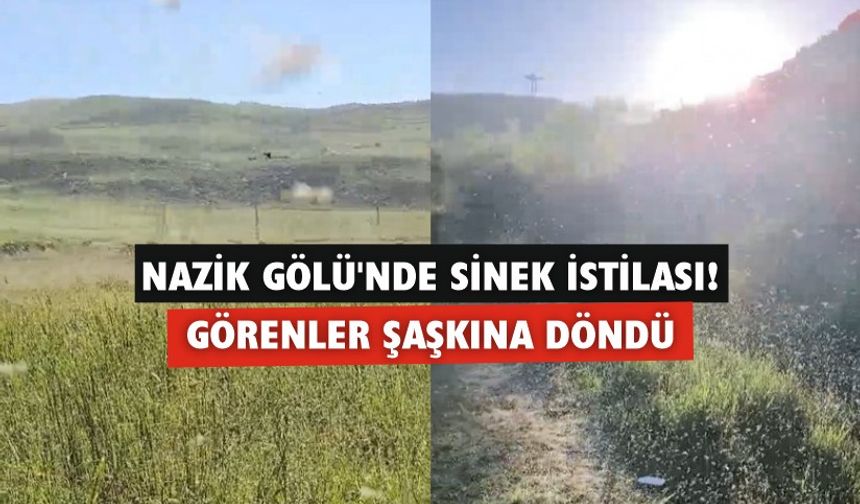 Nazik Gölü'nde sinek istilası! Görenler şaşkına döndü