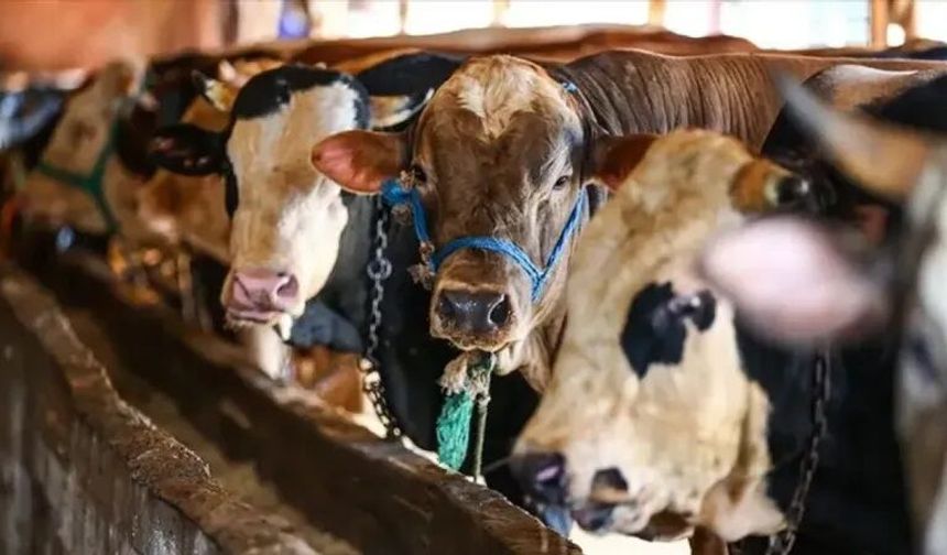 2026 Kurban Bayramı ne zaman başlıyor? Tatil ne kadar sürecek?