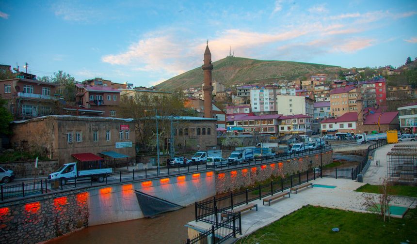 Bitlis'e yurt dışından 200 kişi göç etti