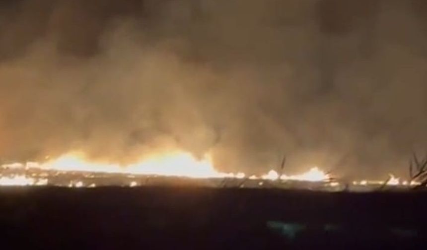 Malatya’da korkutan anız yangını