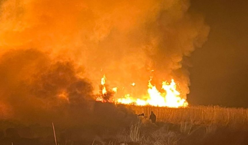 Hakkari’de kuş cennetinde yangın