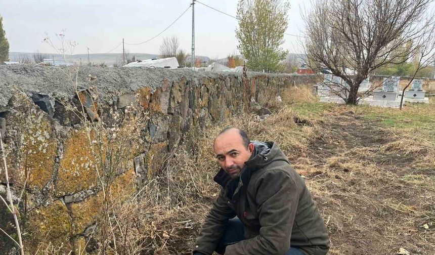 Kars’ta muhtardan örnek davranış: Kayaköprü köyünde fidanlar toprakla buluştu