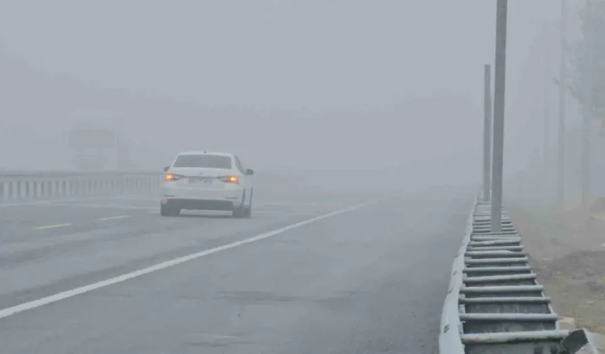 Bitlis’te sis sürücülere zor anlar yaşattı