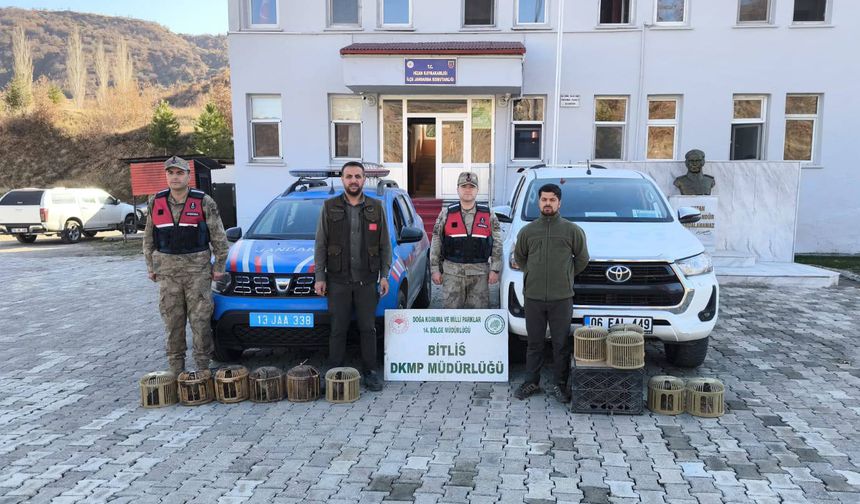 Hizan’da Kaçak Keklik Avcılığına Operasyon: 19 keklik doğaya salındı