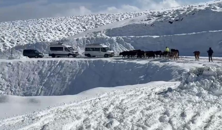 Önceden uyarı: Bu kış son dönemlerin en ağır kışı olacak