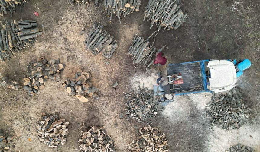 Güroymak’ta odun kesme mesaisi