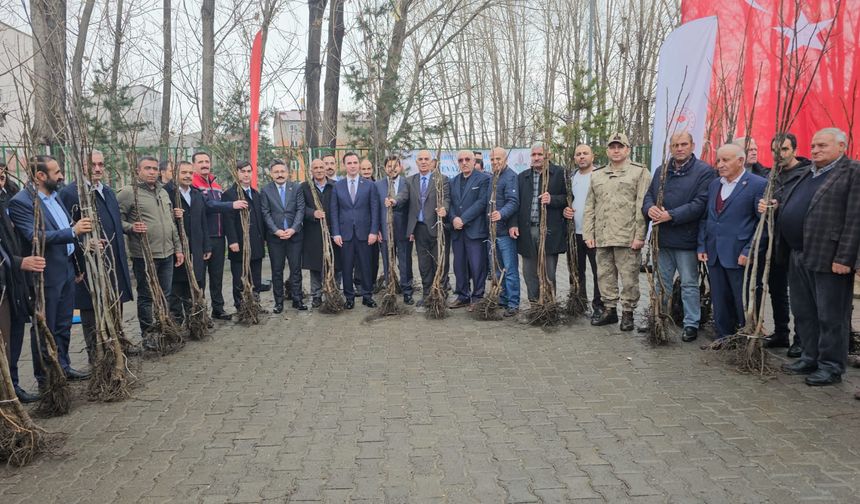 Adilcevaz'da üreticilere 12 bin adet ceviz fidanı dağıtıldı