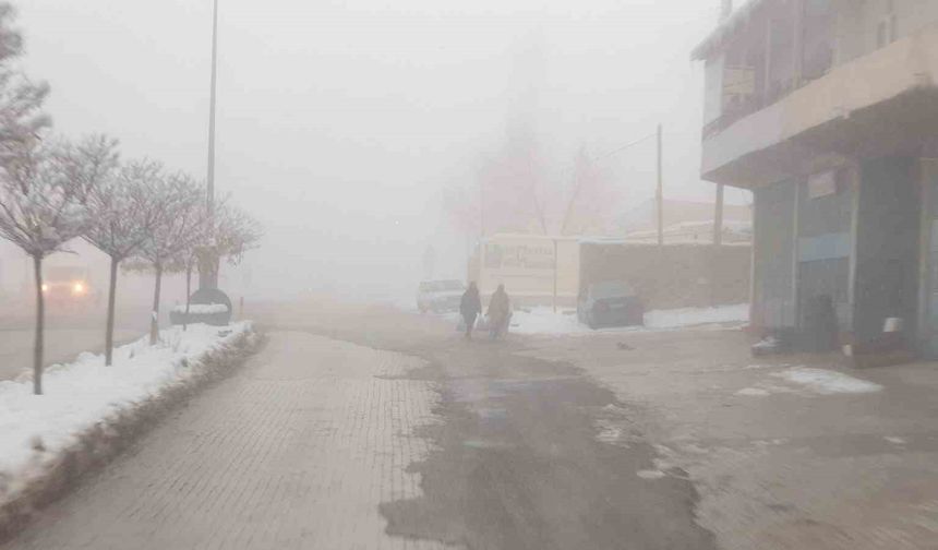 Başkale'de sisten dolayı göz gözü görmedi