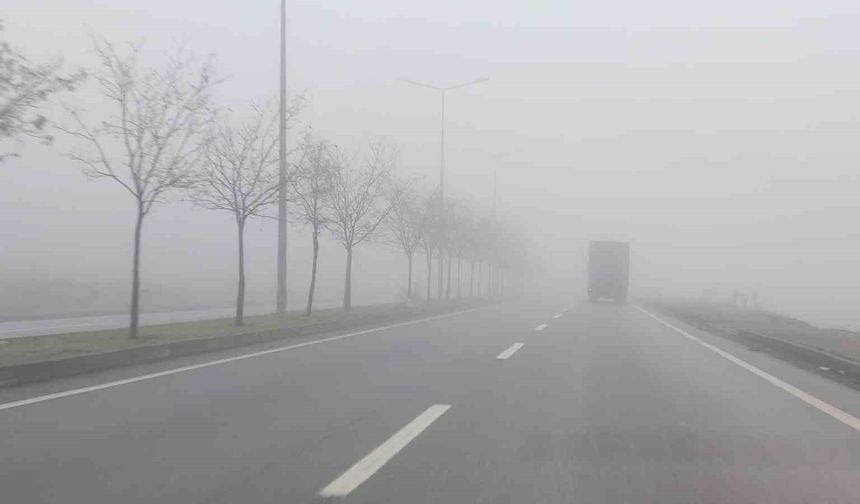 Bingöl'de yoğun sis etkili oluyor