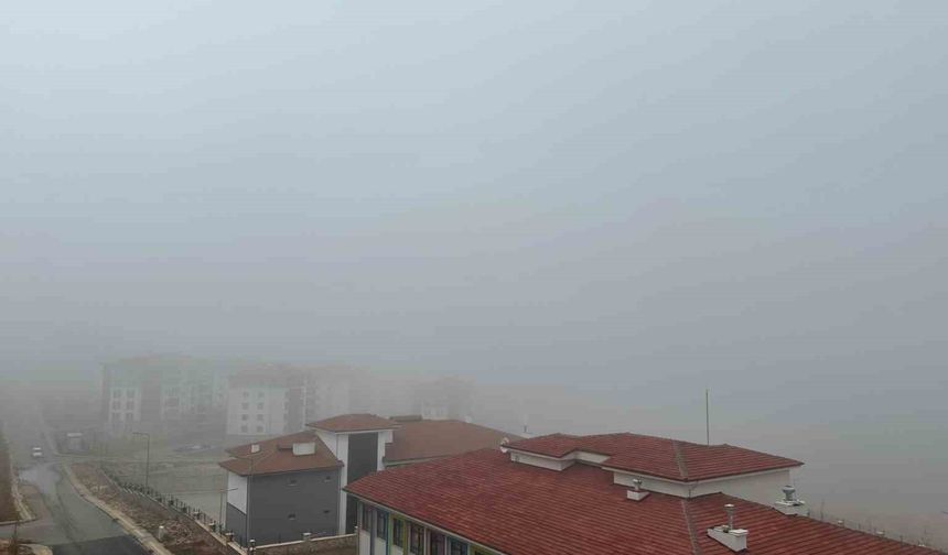 Elazığ'da sis etkili oluyor