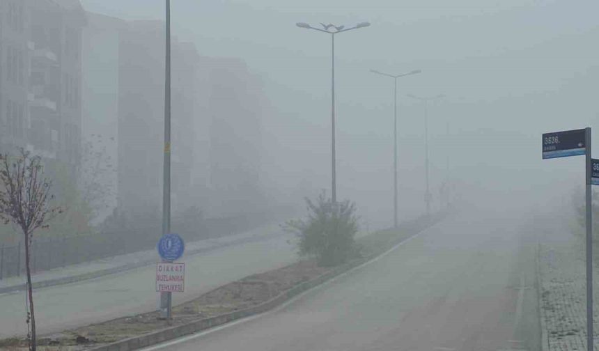 Elazığ'ı yoğun sis kapladı, bir mahalle görünmez oldu