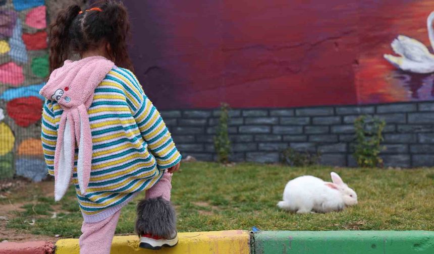 EuroPris’te Türkiye gururu: Sivrice Kadın Cezaevi 30 ülkeyi geride bıraktı