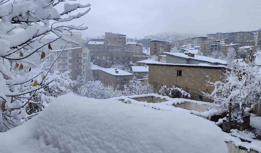 Hakkari’de kar ulaşımı felç etti: 13 köy, 30 mezra yolu kapalı
