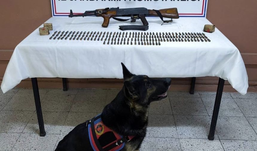 Iğdır'da silah kaçakçılığı operasyonu: Kalaşnikof tüfeği ve 264 fişek yakalandı