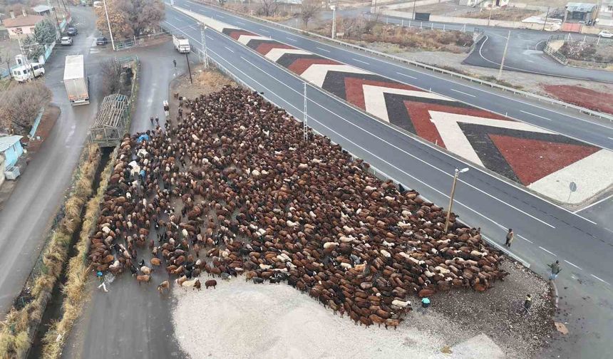 Iğdırlı göçerler, zorlu serüvenin ardından Iğdır’a geldi