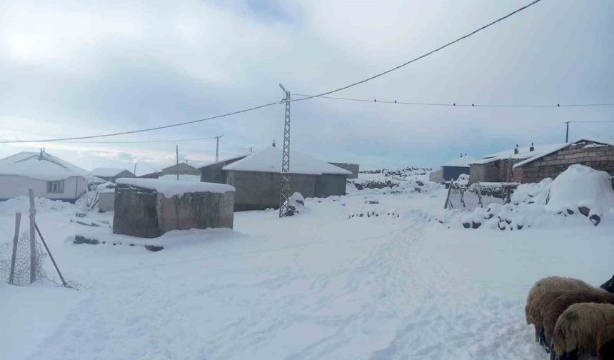 Kışkılı köyü’nde kar yağışı besicileri vurdu