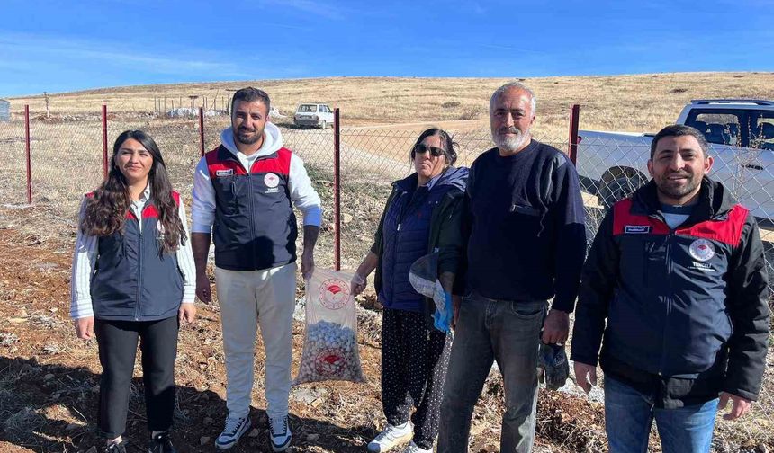 Tunceli'nin 4 ilçesinde sarımsak ekimi gerçekleştirildi