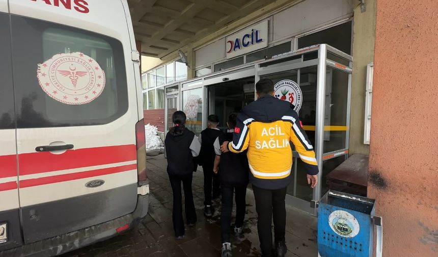 Yüksekova'da Yerli Malı Haftasında 40 öğrenci gıda zehirlenmesi şüphesiyle hastaneye kaldırıldı