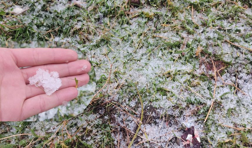 Ahlat’ta dolu yağışı