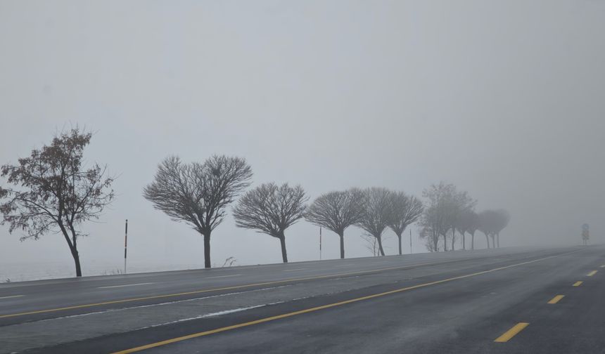 Bitlis’te sis etkili oluyor