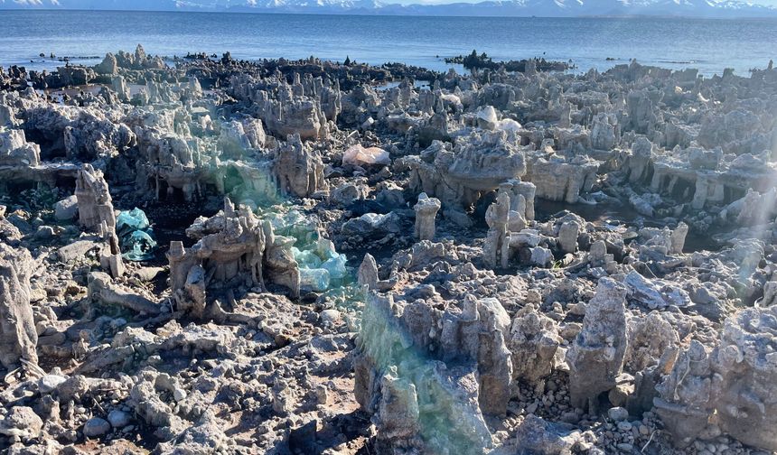 Van Gölü’nün Çekilmesiyle Ahlat’ta Mikrobiyalit Tarlası Ortaya Çıktı
