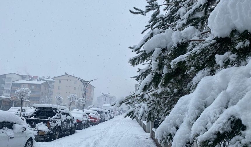 Hizan’da Kar Yağışı Görsel Şölen Oluşturdu