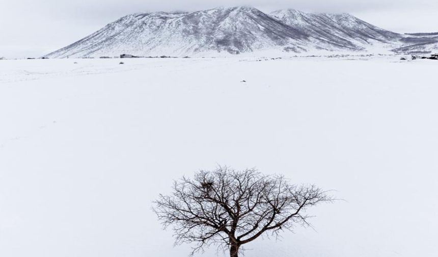 Kar örtüsü altındaki Rahva Ovası kartpostallık manzaralar sunuyor