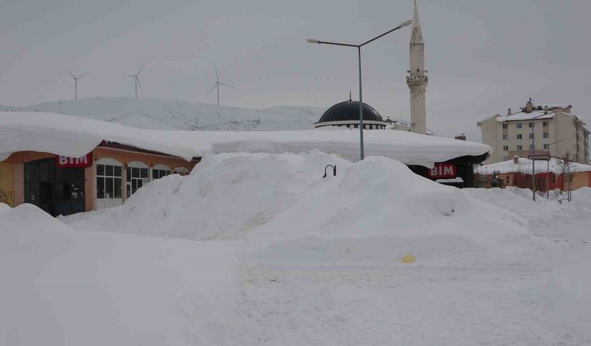 Bitlis’te kar yağışı sonrası 124 köy yolu ulaşıma kapandı