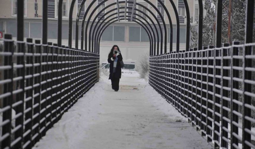 Kars’ta doğa buz tuttu