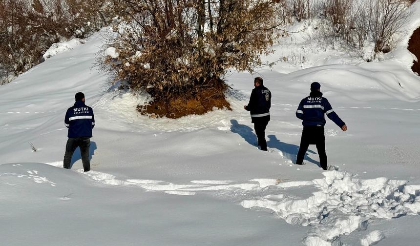 Mutki’de yaban hayvanları için doğaya yem bırakıldı