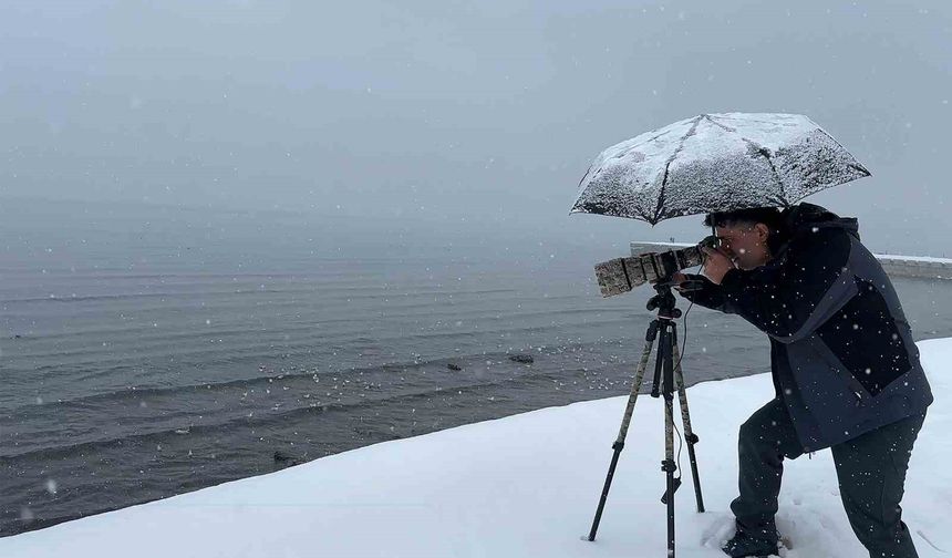 Tatvan'a kış ortasında kuş akını