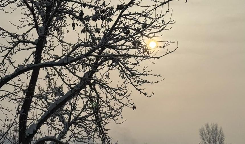 Güroymak’ta sis ve kar tarlaları görsel şölen sundu