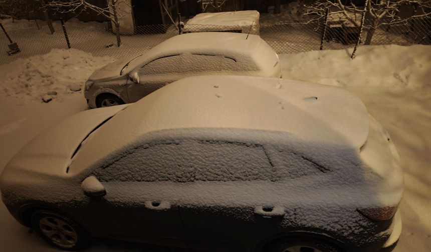 Ahlat’ta 1 haftadan sona kar yağışı yeniden etkili oldu