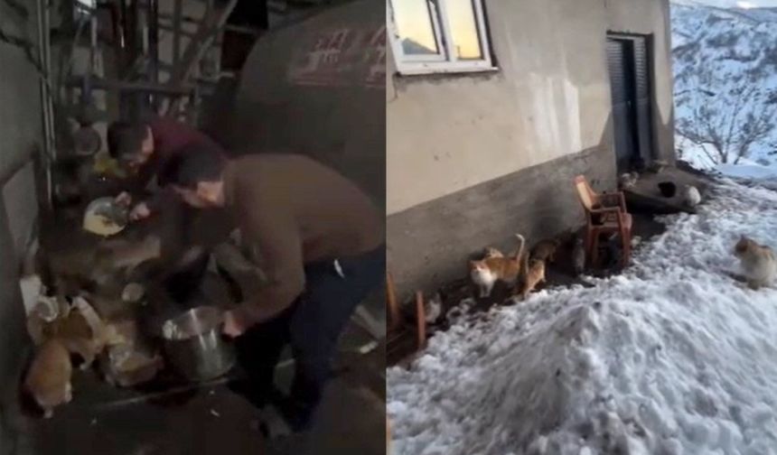 Mutki’de imamdan sokak kedilerine anlamlı destek