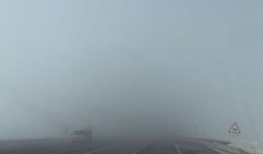 Bitlis-Güroymak yolunda sis etkili oluyor