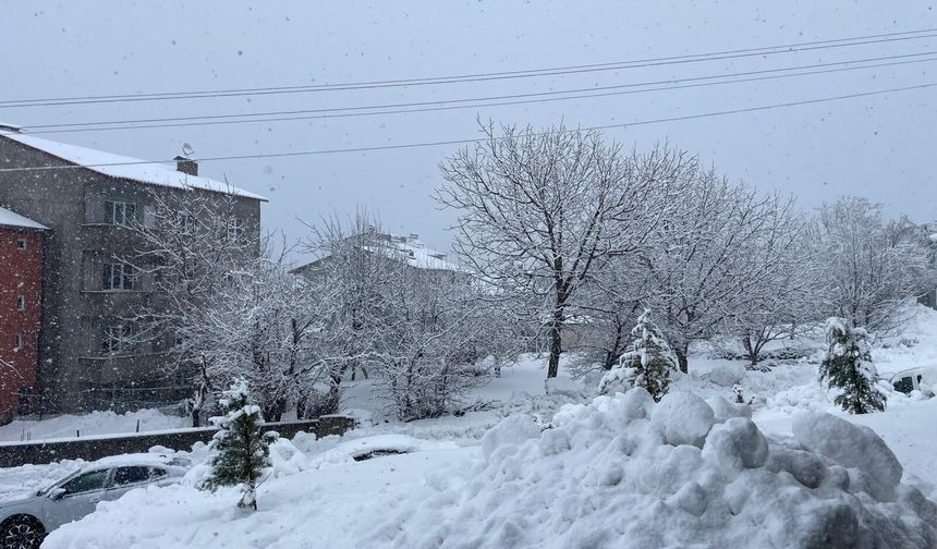 Tatvan’da kar yağışı etkisini sürdürüyor