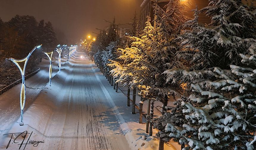 Tatvan'da karla kaplanan cadde ve ağaçlar görsel şölen oluşturdu